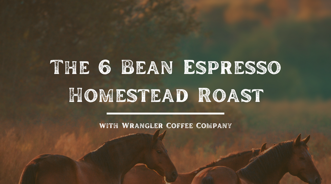 6 Bean Espresso Homestead Roast - Big Flavor for the Self-Sufficient Soul