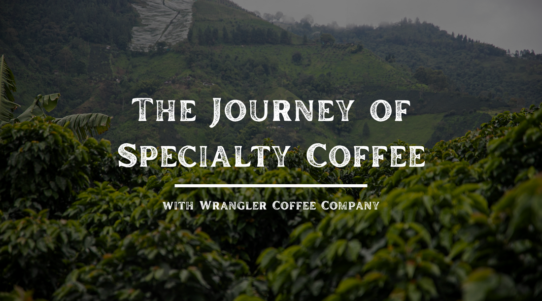 The Journey of Specialty Coffee — From Farm to Campfire