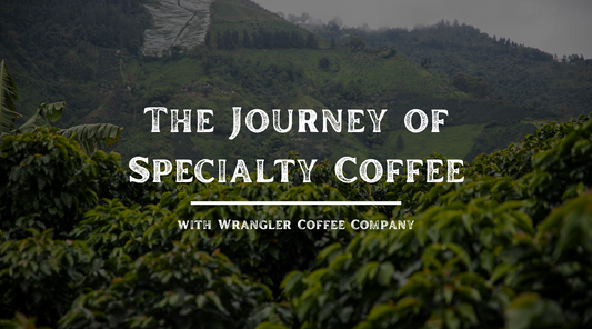 The Journey of Specialty Coffee — From Farm to Campfire