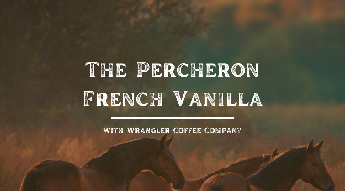 Percheron French Vanilla - Calm Mornings, Strong Backbone