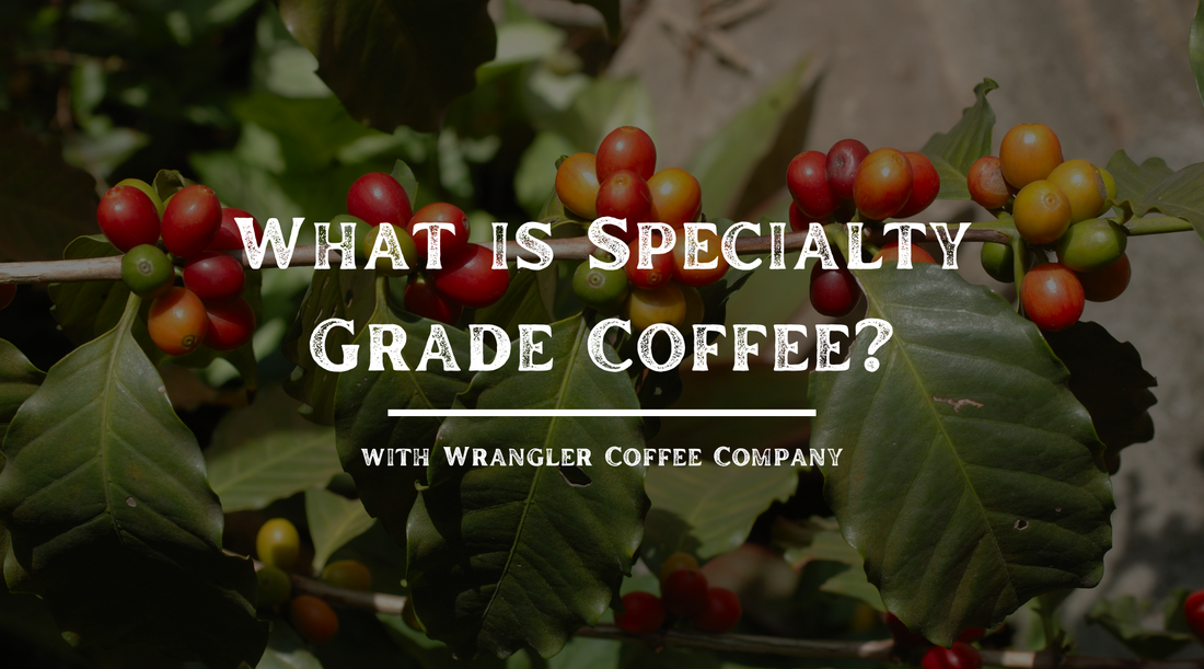 What Is Specialty Grade Coffee — The Finest Beans on the Frontier
