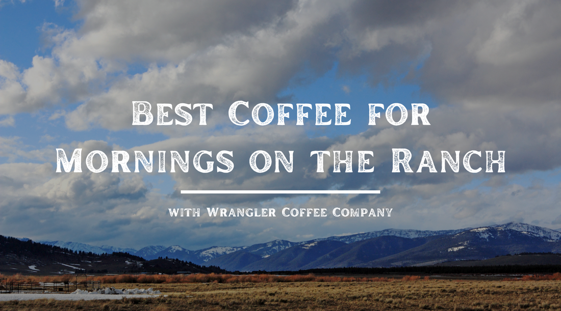 Best Coffee for Mornings on the Ranch