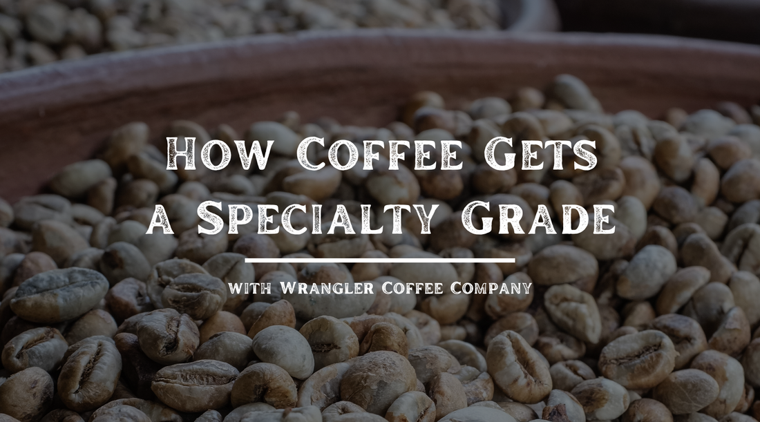 How Coffee Gets a Specialty Grade
