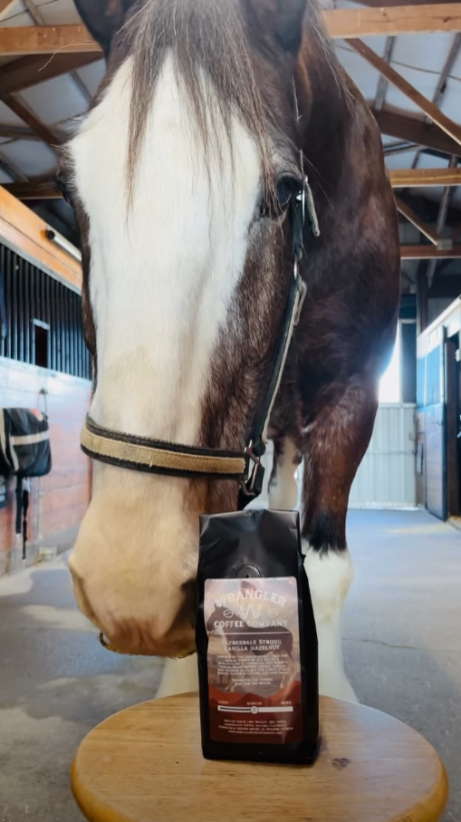 Clydesdale Strong Vanilla Hazelnut